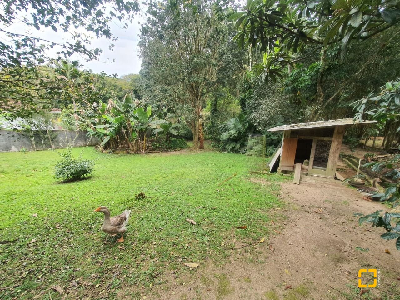 Casa com 350m², 6 quartos (sendo 2 suítes), 4 garagens, no bairro Santo Antônio de Lisboa em Florianópolis