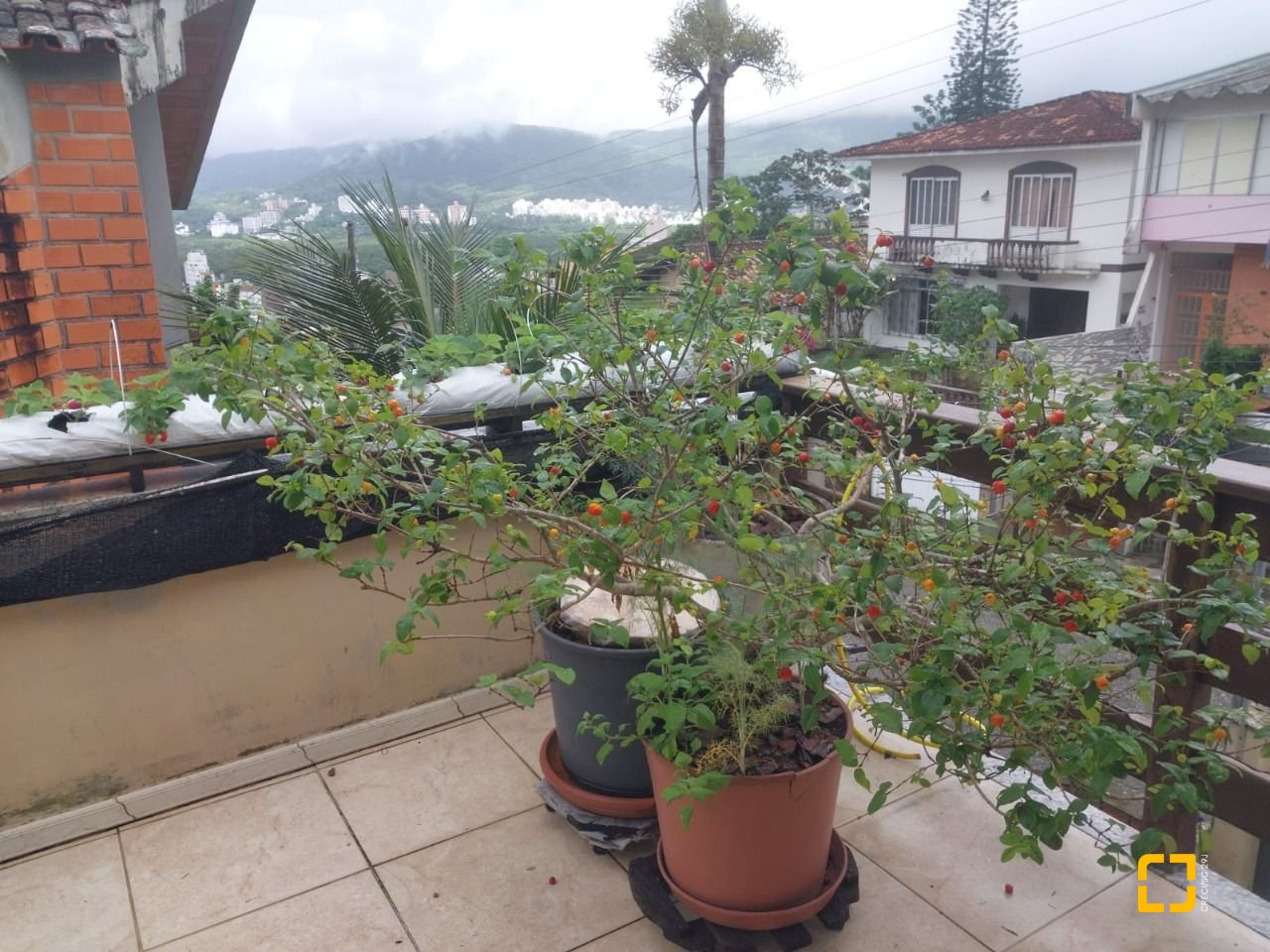 Casa com 295m², 6 quartos (sendo 2 suítes), 3 garagens, no bairro Trindade em Florianópolis