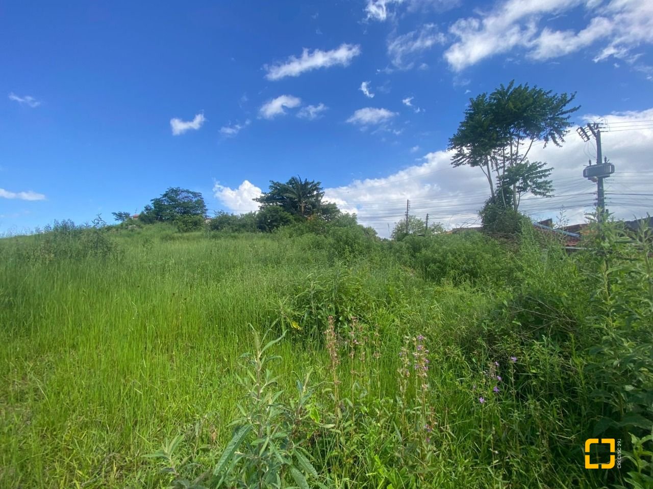 Terreno com 10100m², no bairro Boa Vista em Biguaçu