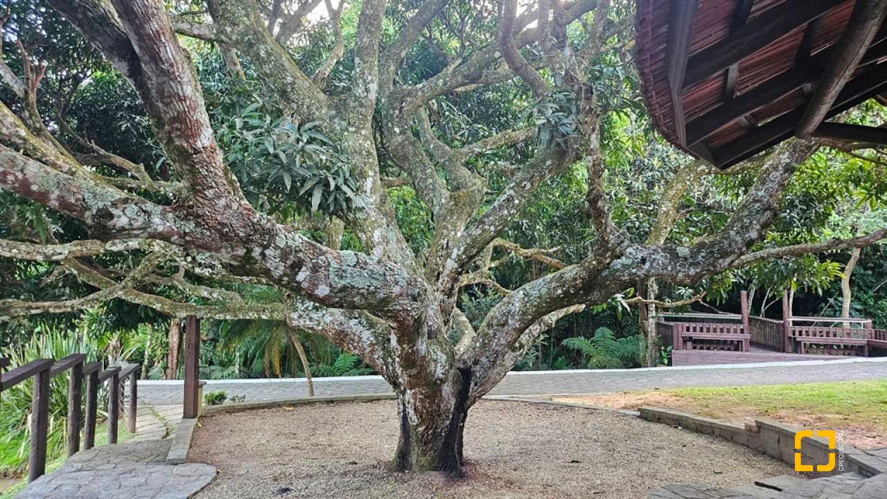 Casa de Condomínio com 240m², 7 quartos (sendo 3 suítes), 1 garagem, no bairro Sambaqui em Florianópolis