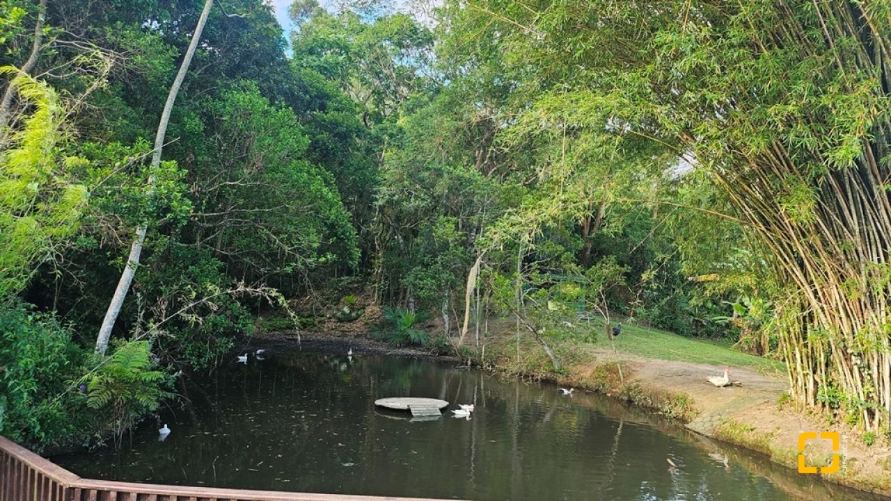 Casa de Condomínio com 240m², 7 quartos (sendo 3 suítes), 1 garagem, no bairro Sambaqui em Florianópolis