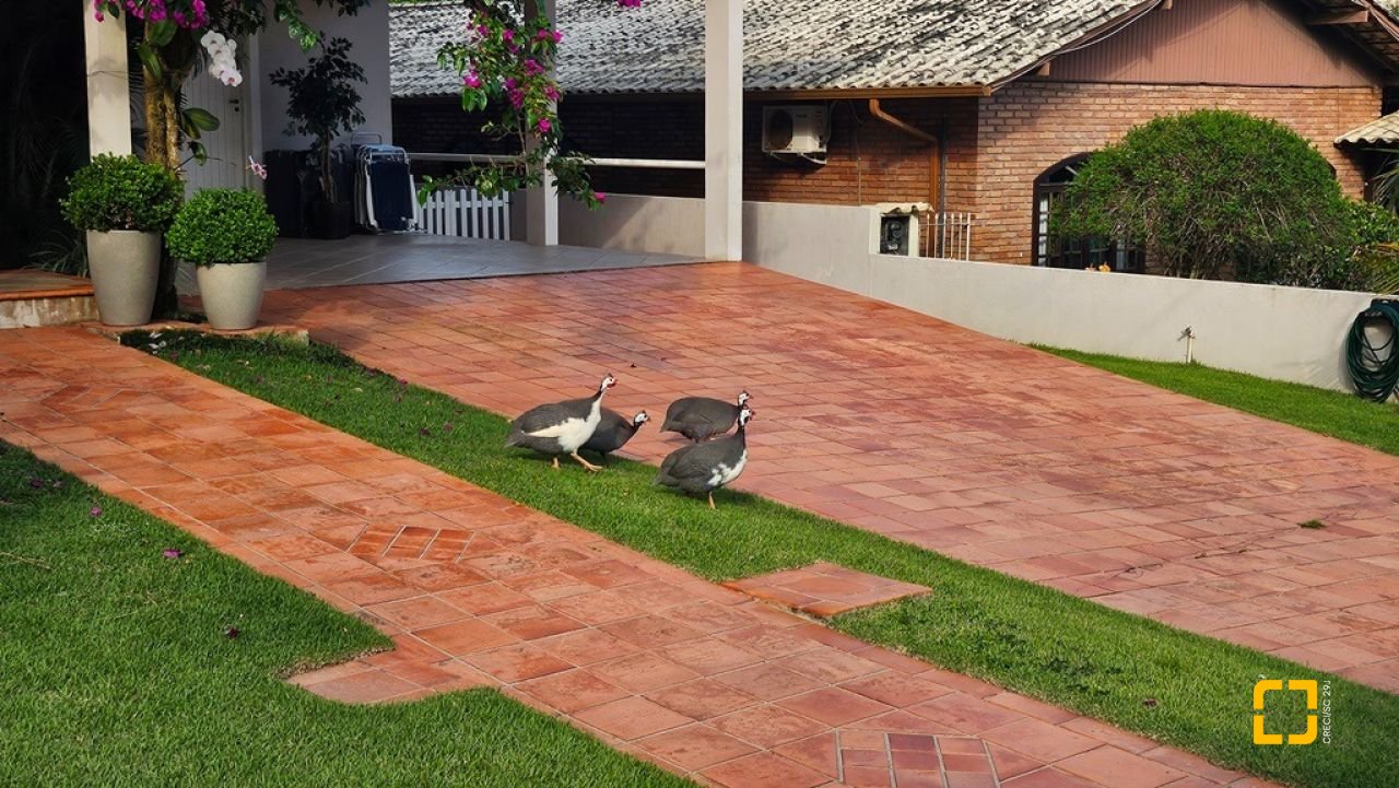 Casa de Condomínio com 240m², 7 quartos (sendo 3 suítes), 1 garagem, no bairro Sambaqui em Florianópolis