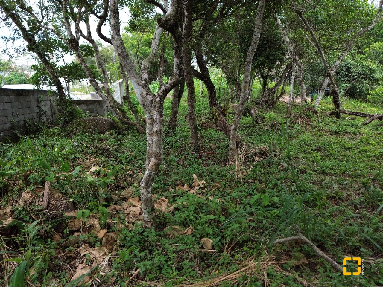 Terreno com 14106m², no bairro Sambaqui em Florianópolis