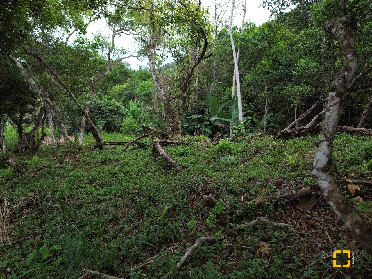 Terreno com 14106m², no bairro Sambaqui em Florianópolis