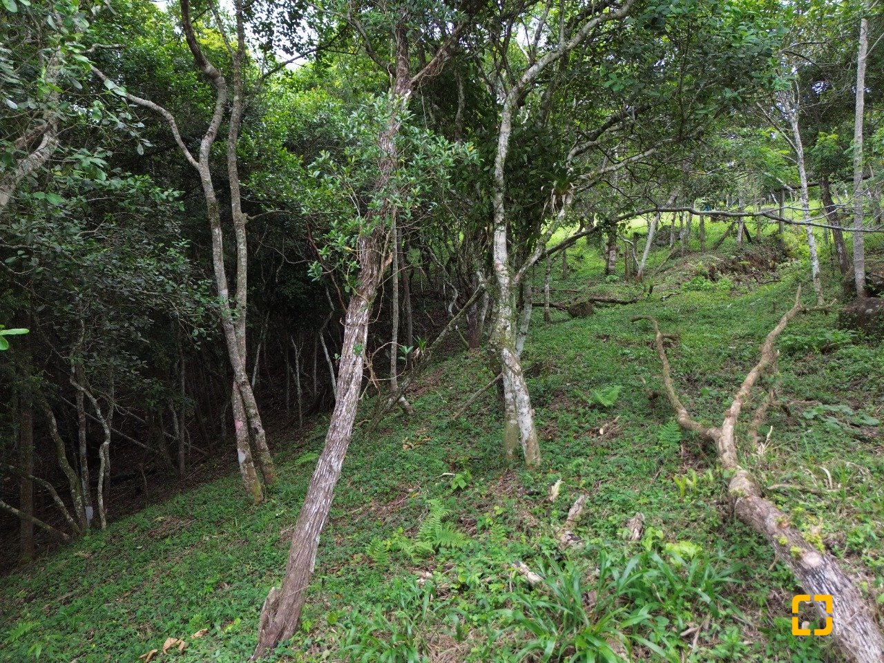Terreno com 14106m², no bairro Sambaqui em Florianópolis