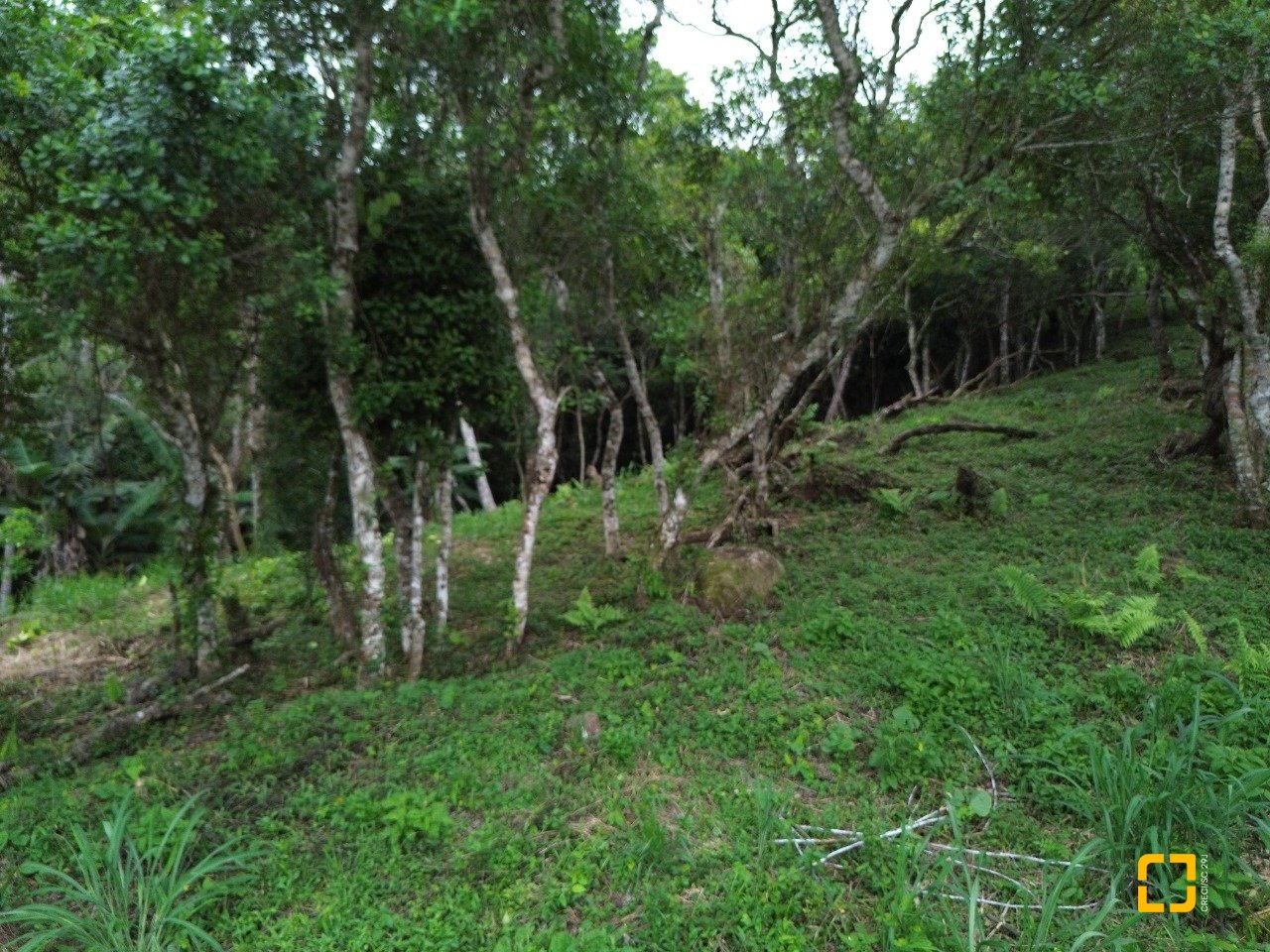 Terreno com 14106m², no bairro Sambaqui em Florianópolis