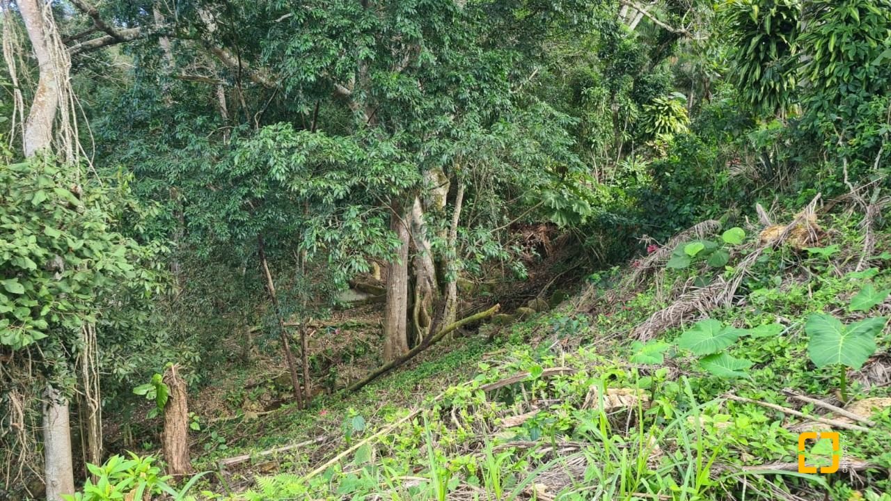 Terreno com 11123m², no bairro Sambaqui em Florianópolis