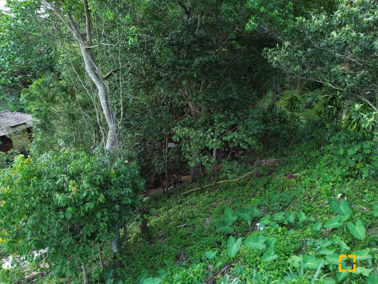 Terreno com 11123m², no bairro Sambaqui em Florianópolis