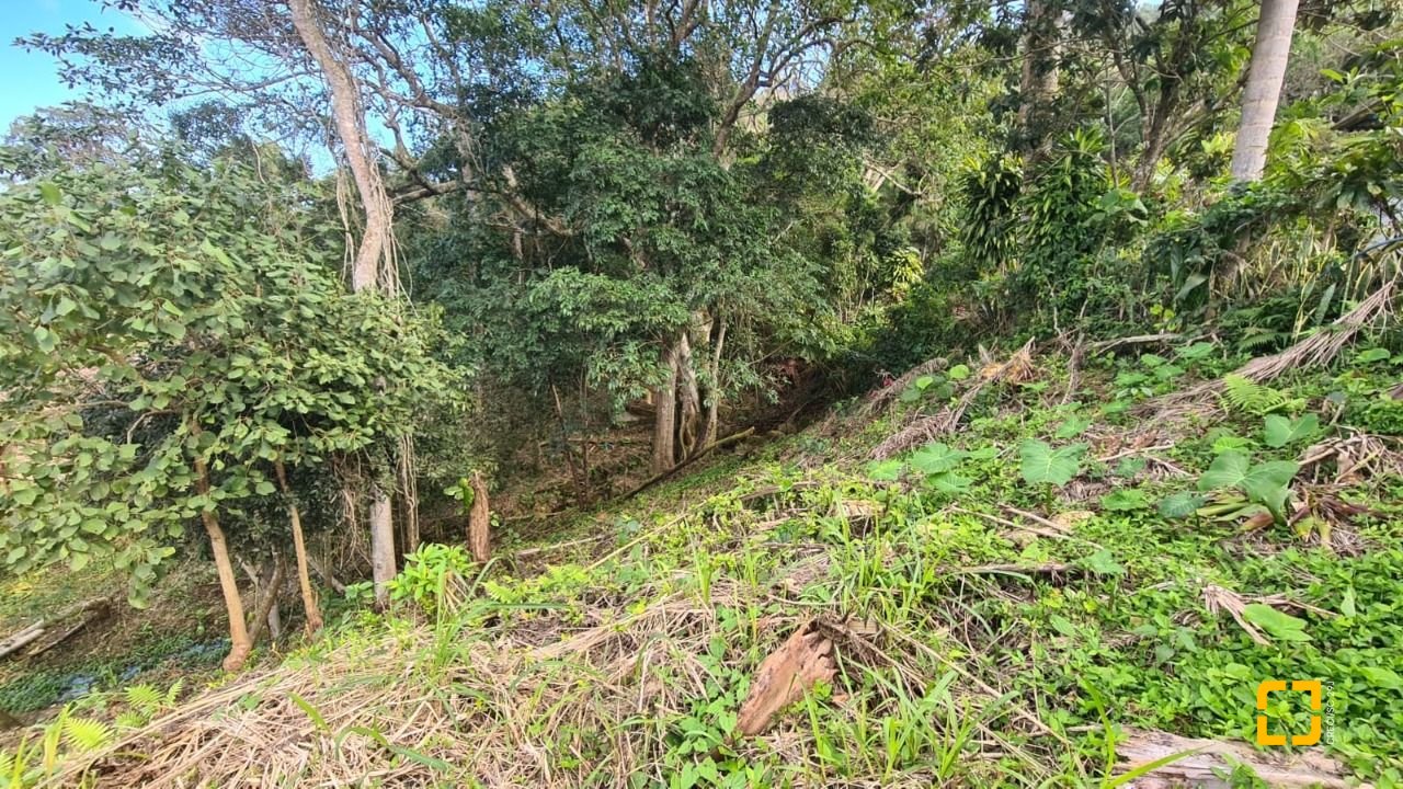 Terreno com 11123m², no bairro Sambaqui em Florianópolis
