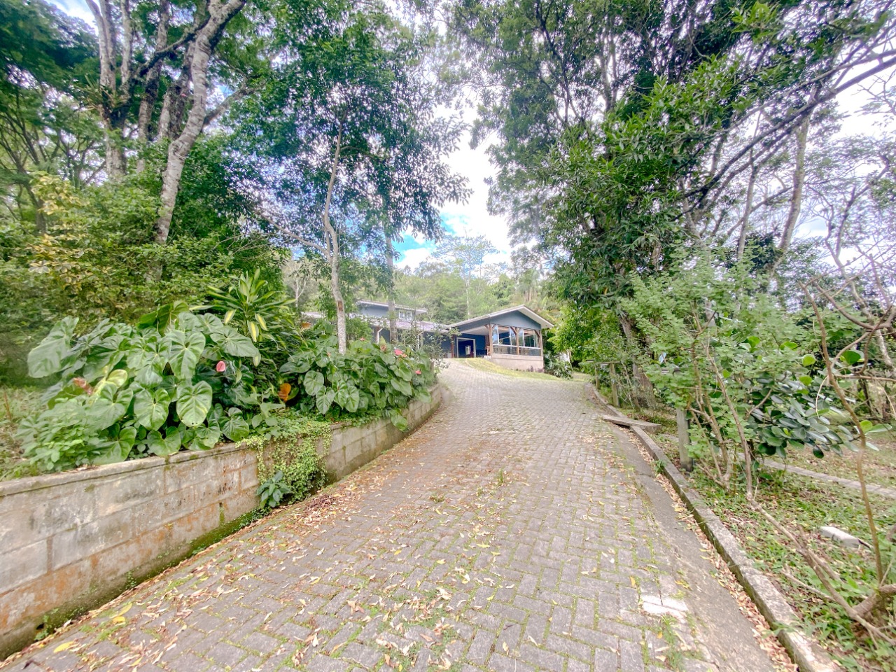Casa com 200m², 4 quartos (sendo 1 suíte), 2 garagens, no bairro Ratones em Florianópolis