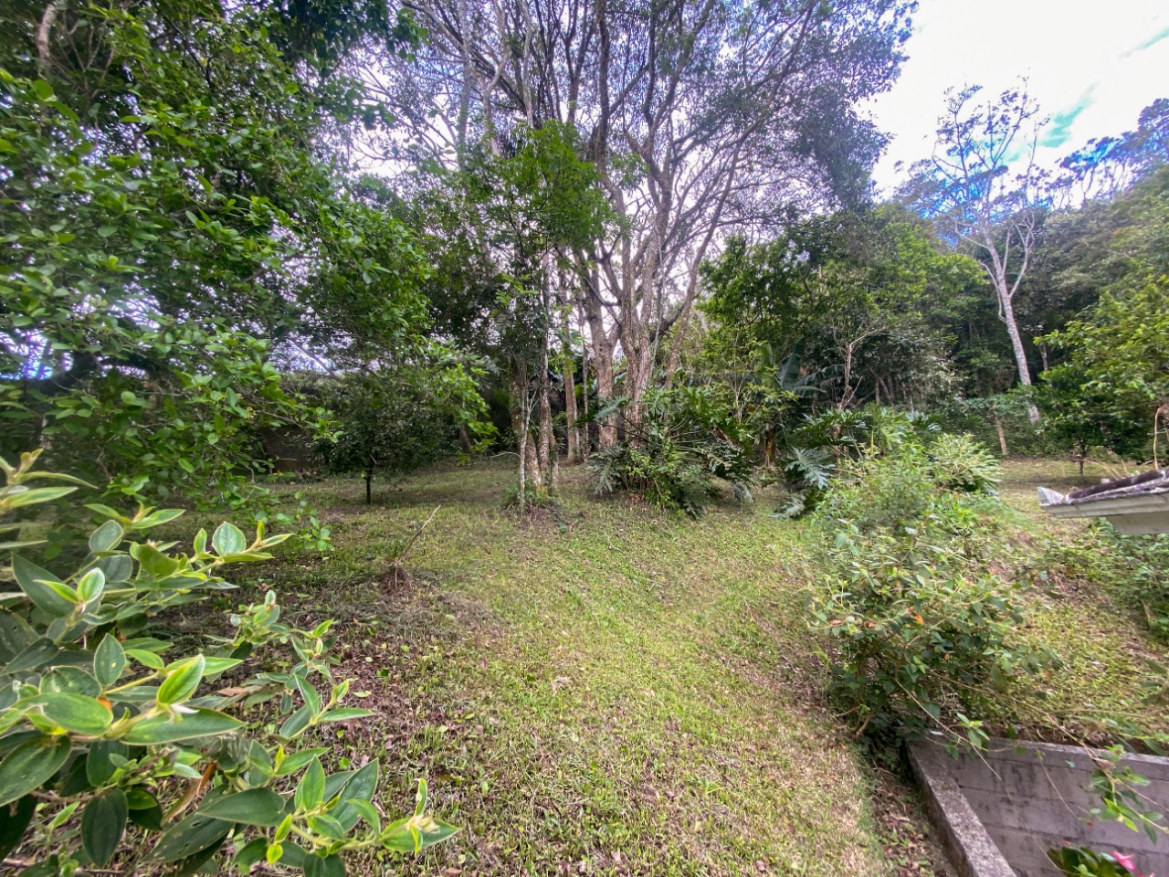 Casa com 200m², 4 quartos (sendo 1 suíte), 2 garagens, no bairro Ratones em Florianópolis