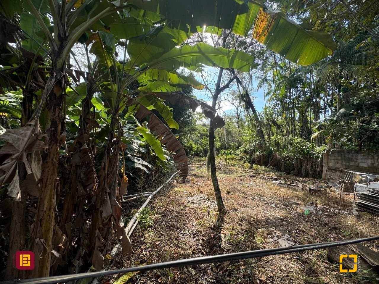 Casa com 150m², 6 quartos, 6 garagens, no bairro Rio Tavares em Florianópolis