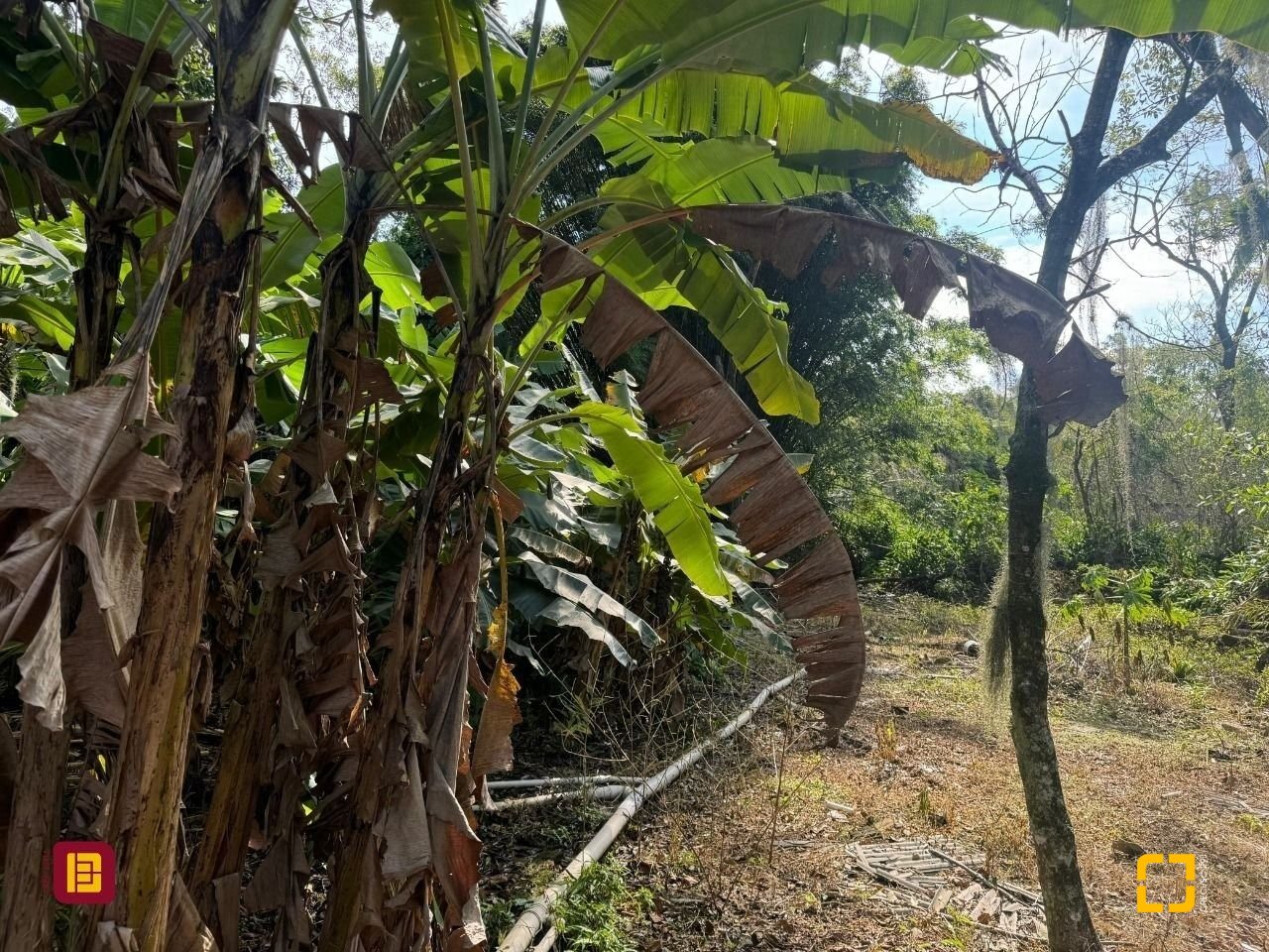 Casa com 150m², 6 quartos, 6 garagens, no bairro Rio Tavares em Florianópolis