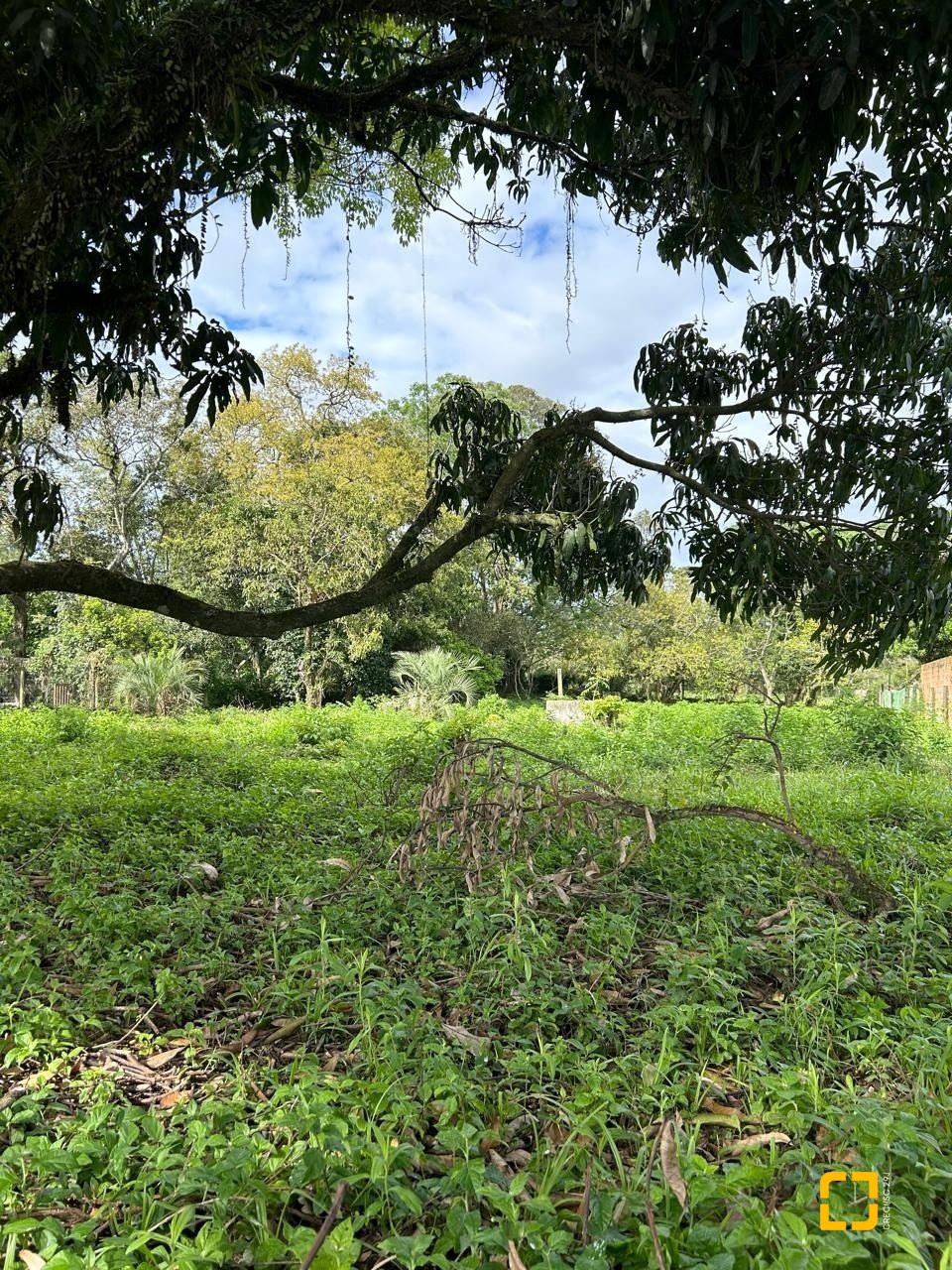 Terreno com 1493m², no bairro Ibiraquera em Imbituba