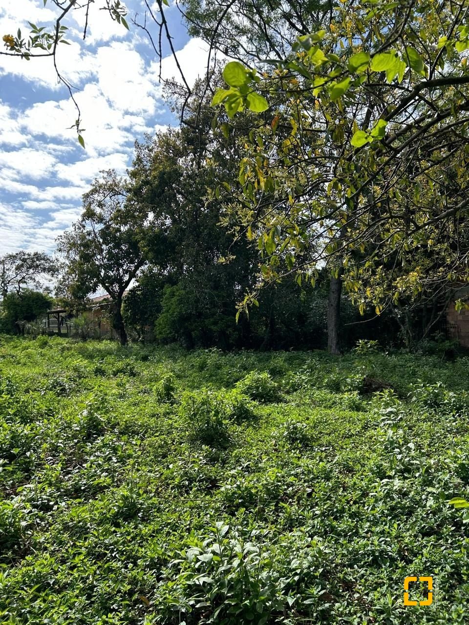 Terreno com 1493m², no bairro Ibiraquera em Imbituba