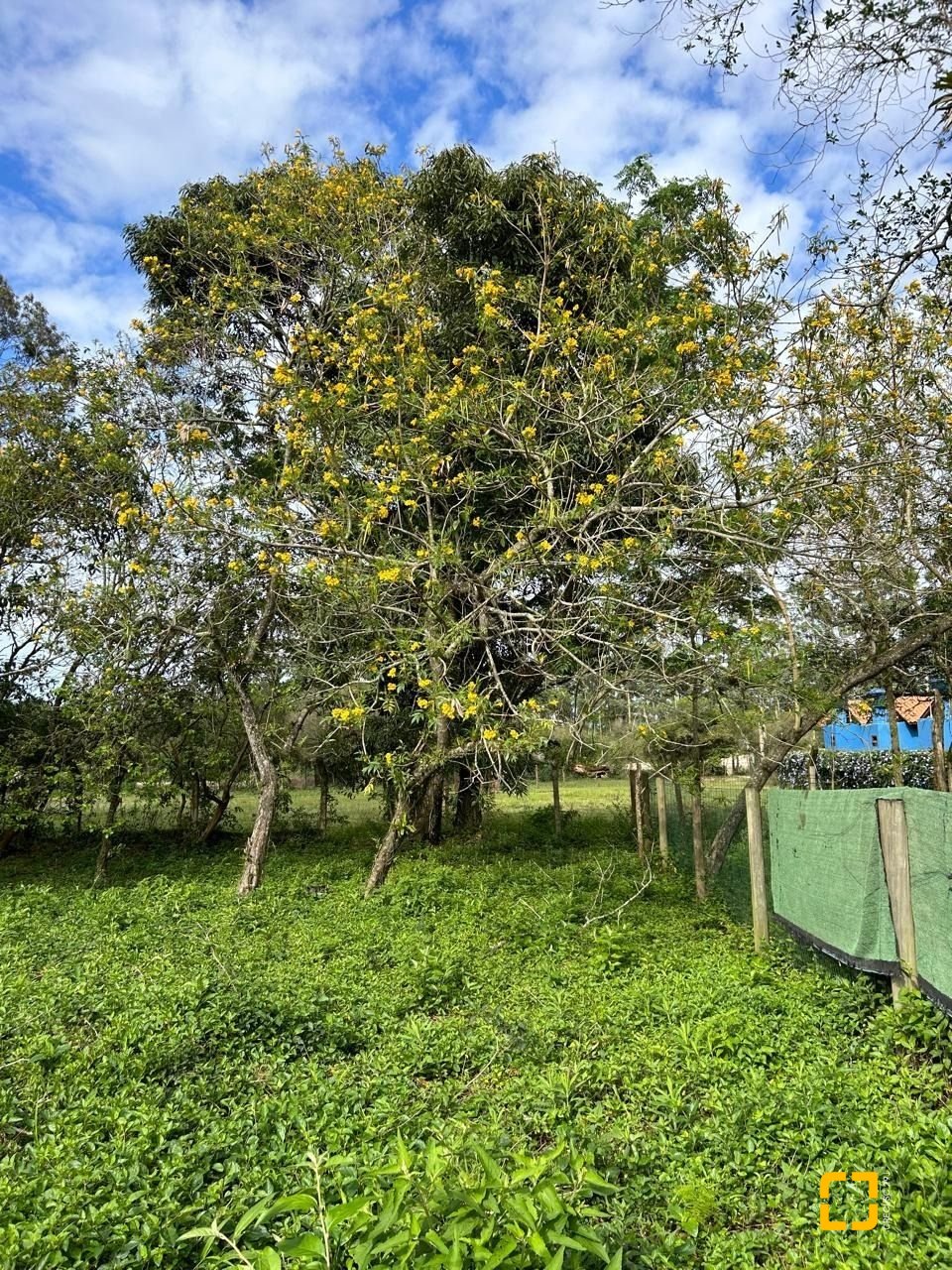 Terreno com 1493m², no bairro Ibiraquera em Imbituba