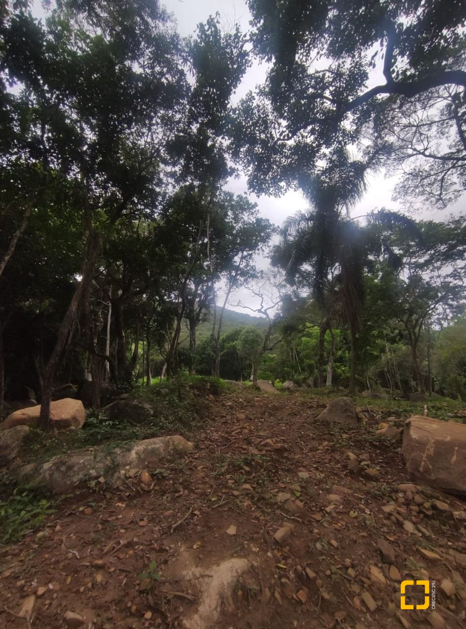 Terreno com 38760m², no bairro Ratones em Florianópolis