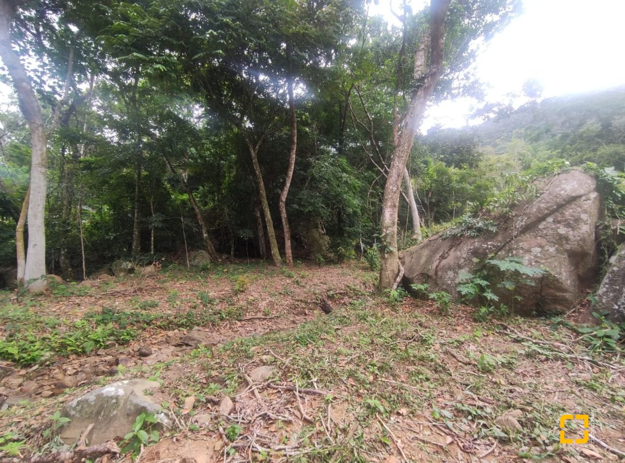 Terreno com 38760m², no bairro Ratones em Florianópolis