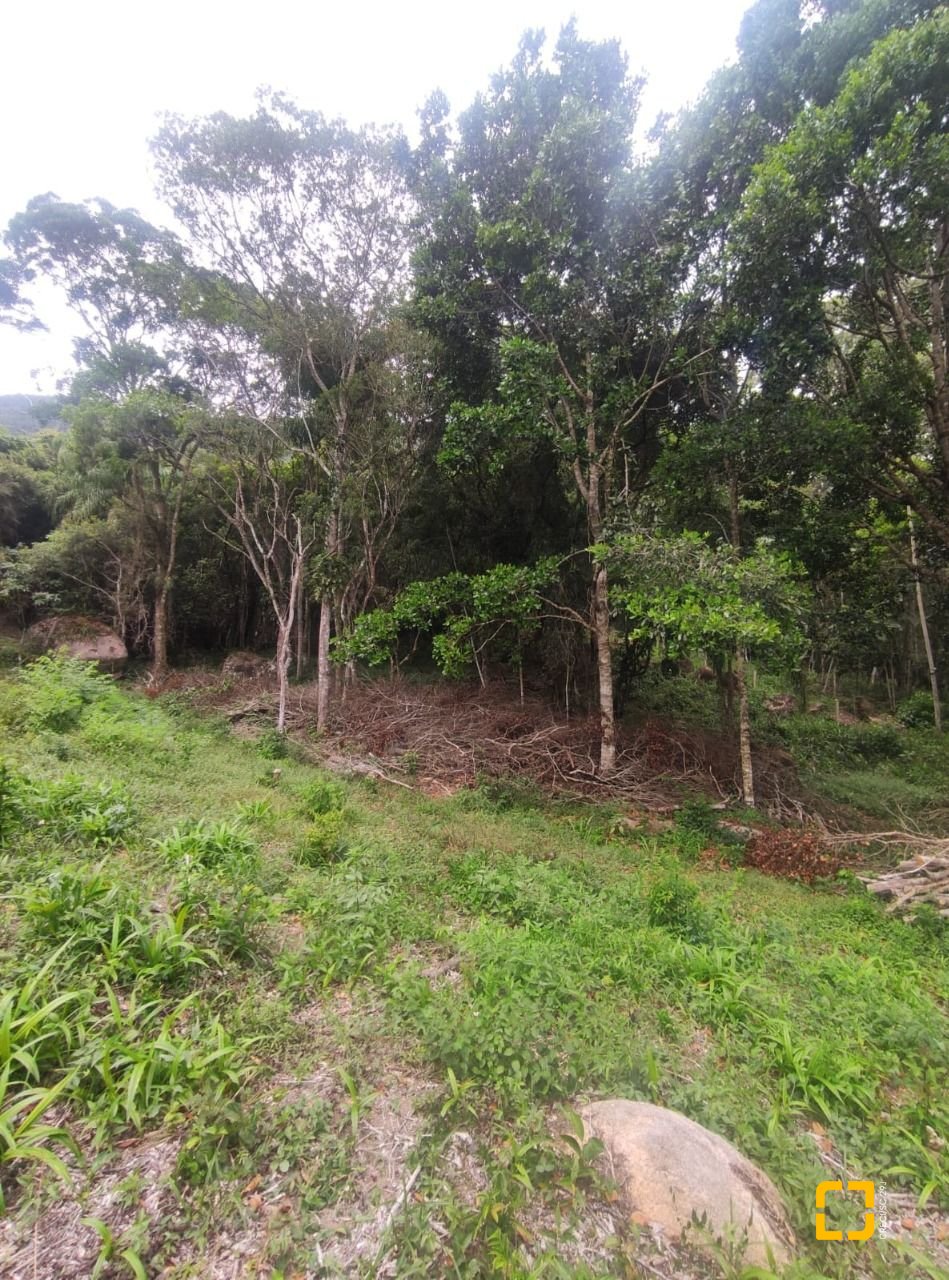 Terreno com 38760m², no bairro Ratones em Florianópolis