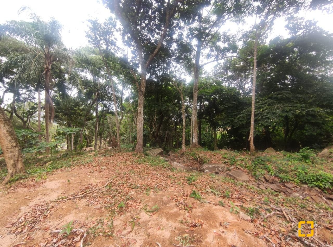 Terreno com 38760m², no bairro Ratones em Florianópolis