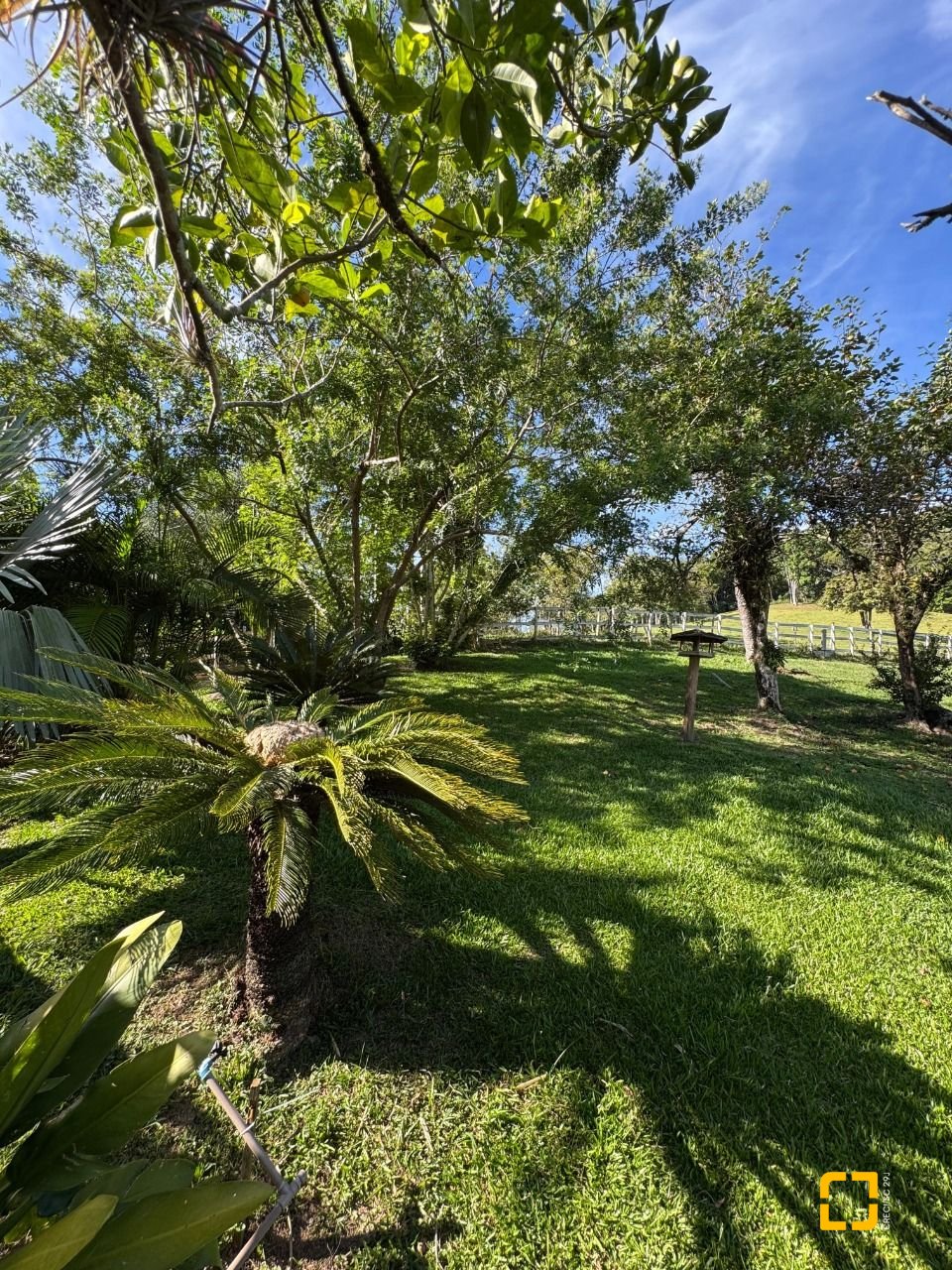 Sítio com 200m², no bairro Potecas em São José