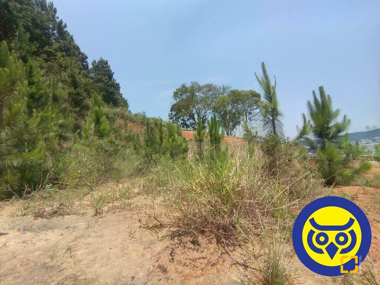 Terreno com 495m², no bairro Itacorubi em Florianópolis