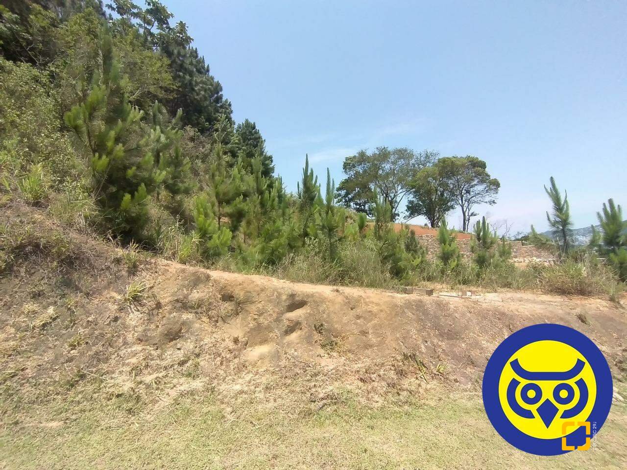 Terreno com 495m², no bairro Itacorubi em Florianópolis