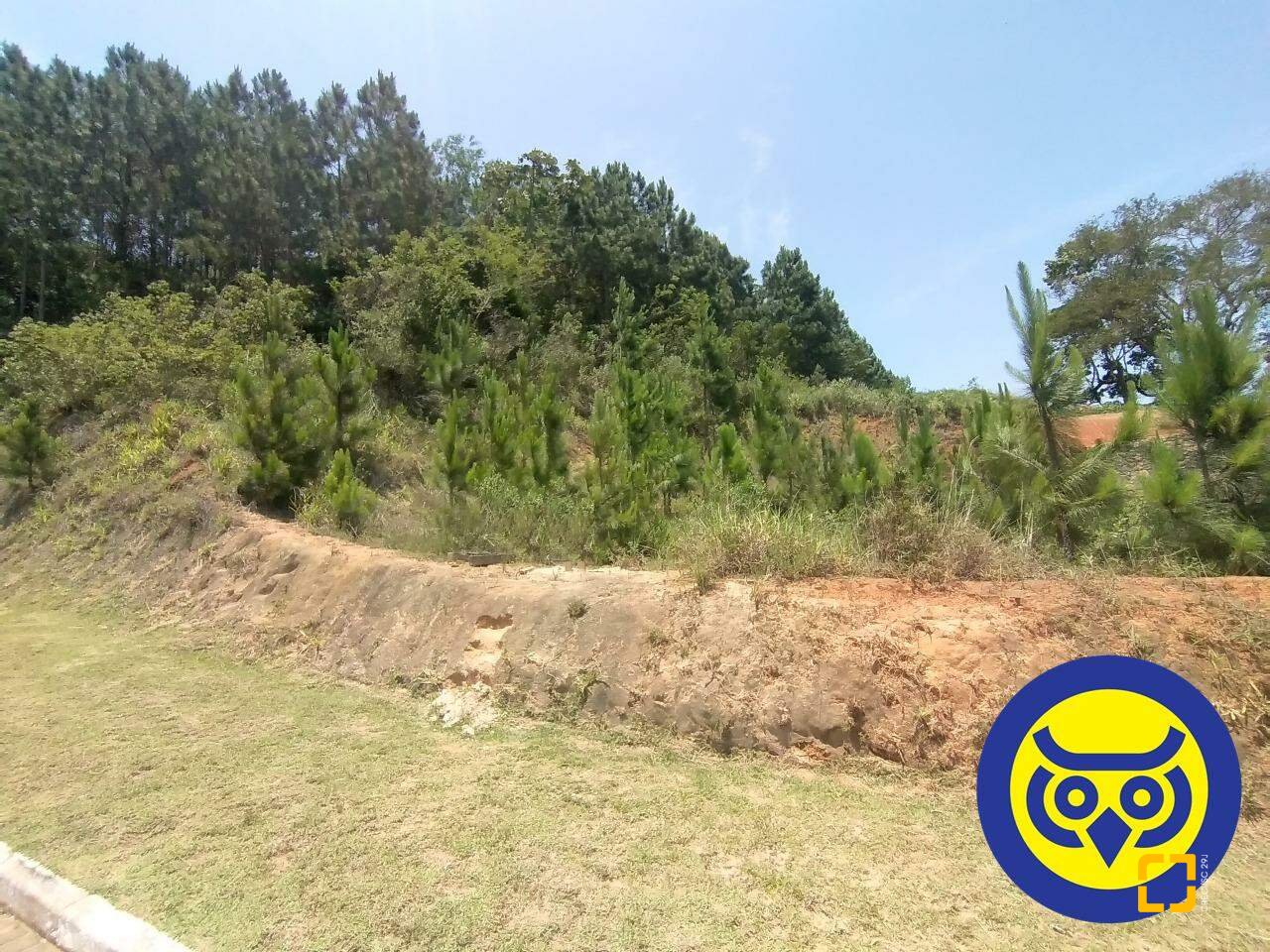 Terreno com 495m², no bairro Itacorubi em Florianópolis