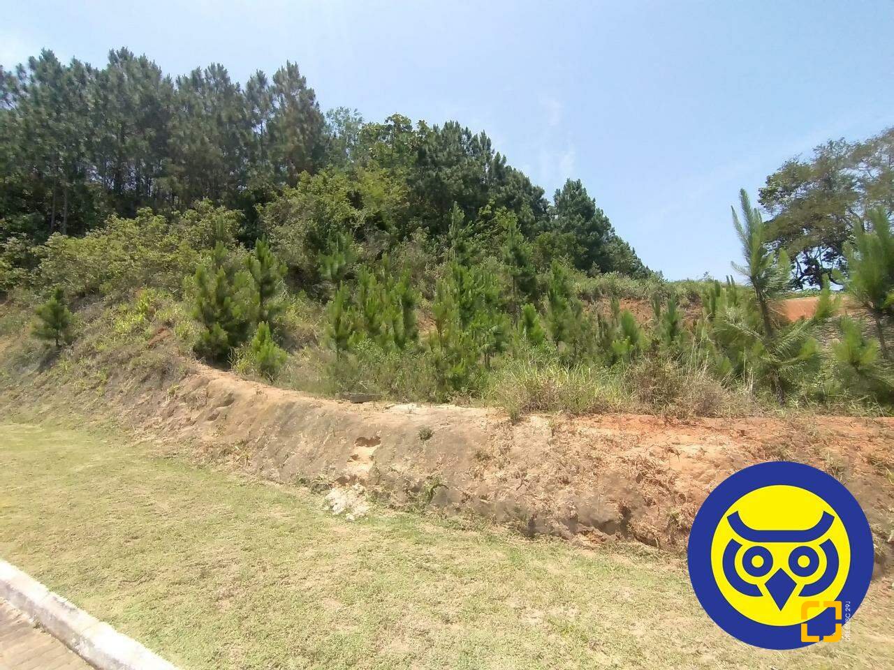 Terreno com 495m², no bairro Itacorubi em Florianópolis