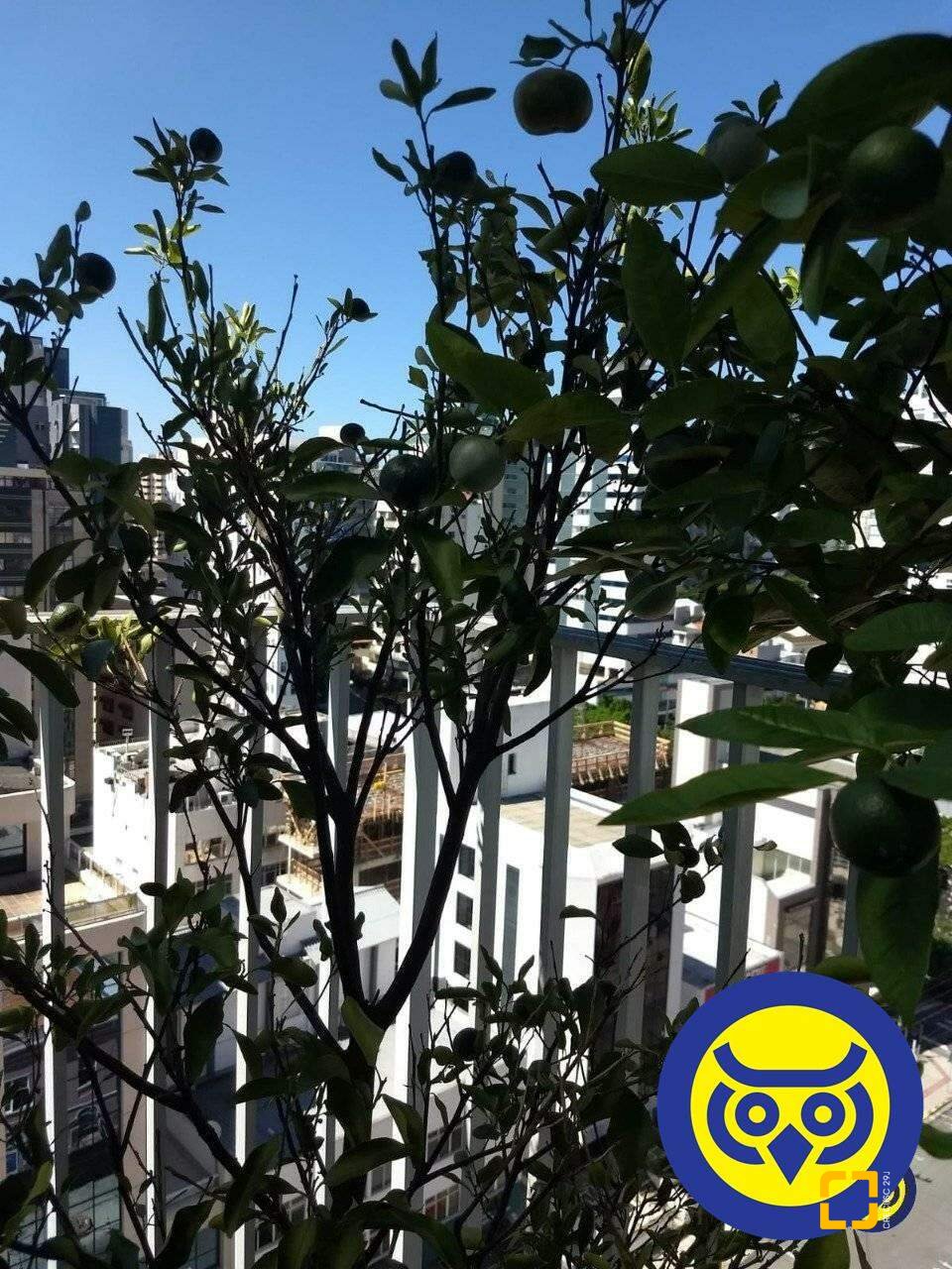Cobertura com 360m², 5 quartos (sendo 3 suítes), 3 garagens, no bairro Centro em Florianópolis