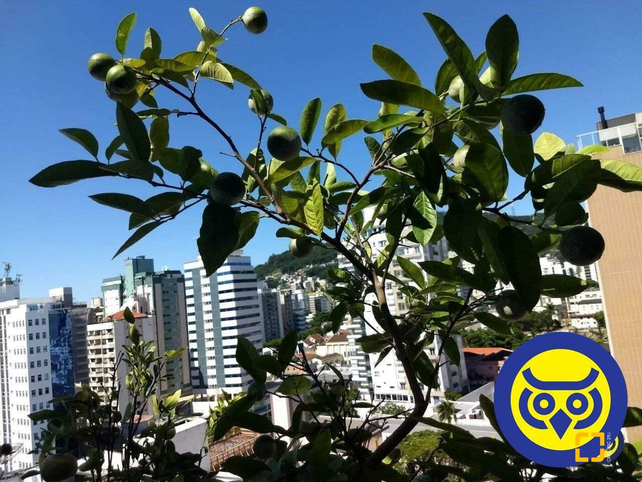 Cobertura com 360m², 5 quartos (sendo 3 suítes), 3 garagens, no bairro Centro em Florianópolis