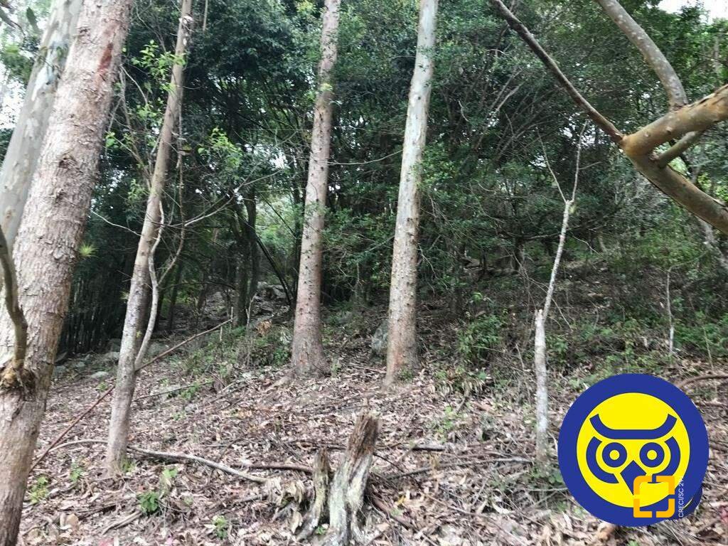 Terreno com 66151m², no bairro Vargem Grande em Florianópolis