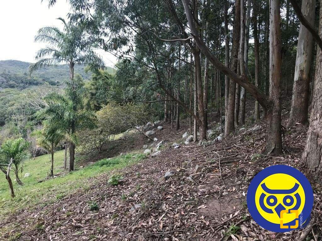 Terreno com 66151m², no bairro Vargem Grande em Florianópolis