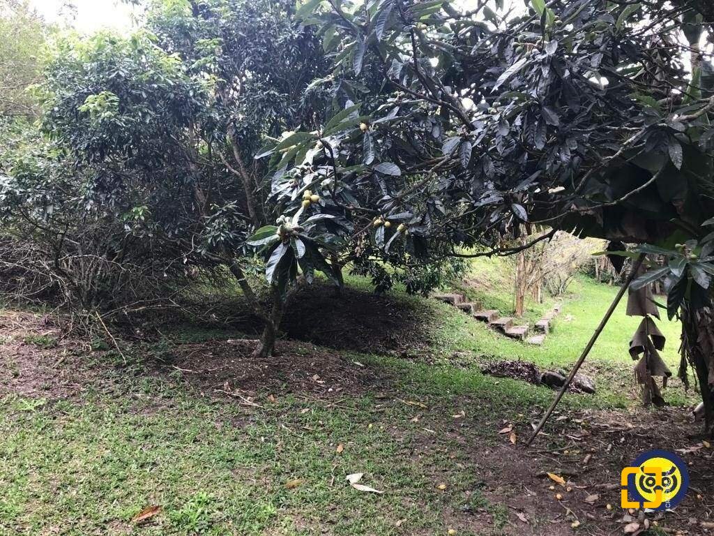 Terreno com 66151m², no bairro Vargem Grande em Florianópolis