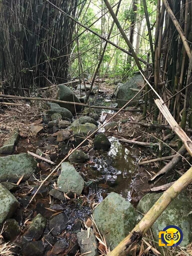 Terreno com 66151m², no bairro Vargem Grande em Florianópolis