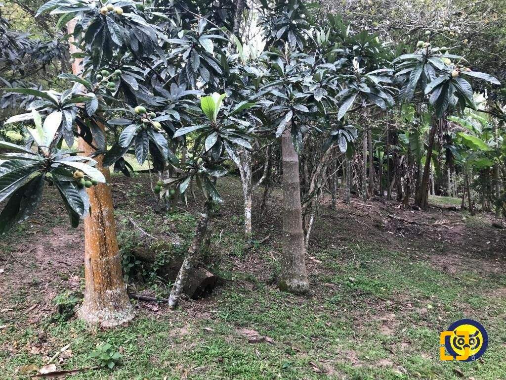 Terreno com 66151m², no bairro Vargem Grande em Florianópolis
