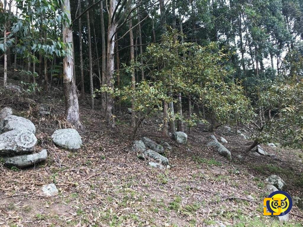Terreno com 66151m², no bairro Vargem Grande em Florianópolis