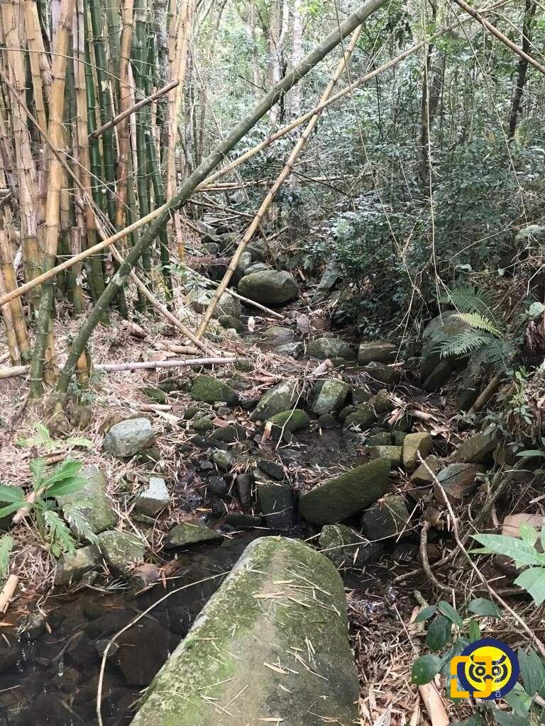 Terreno com 66151m², no bairro Vargem Grande em Florianópolis