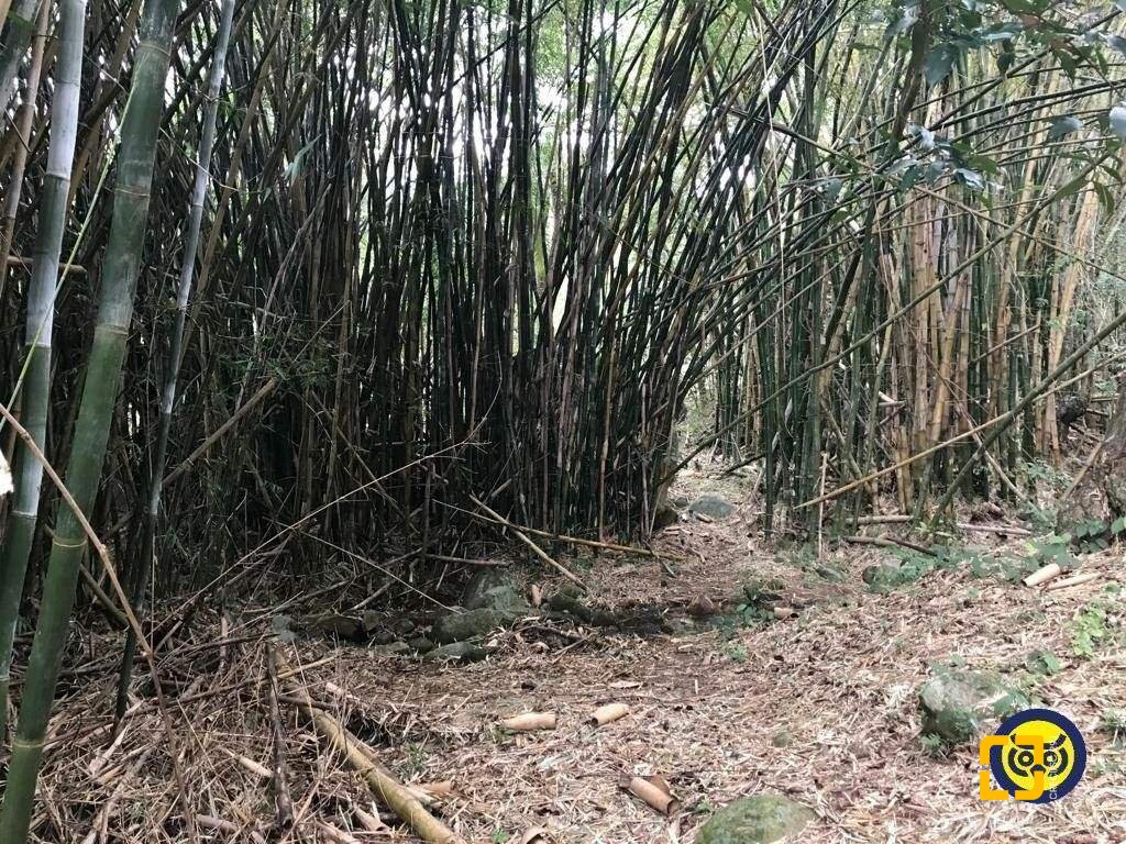 Terreno com 66151m², no bairro Vargem Grande em Florianópolis