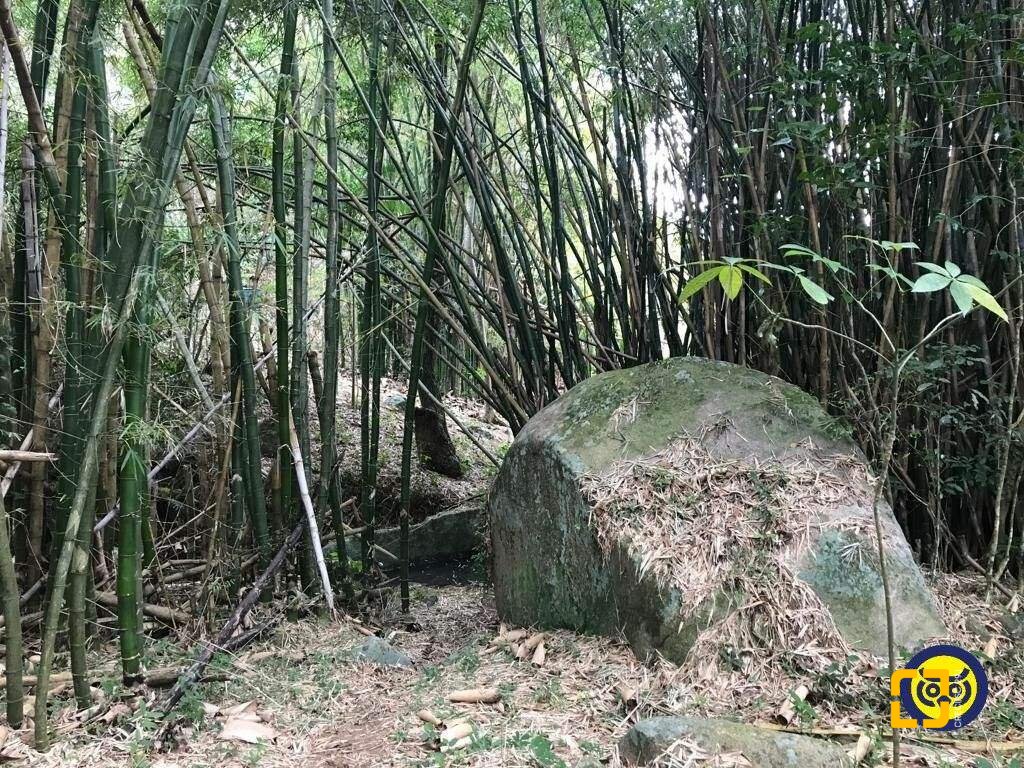 Terreno com 66151m², no bairro Vargem Grande em Florianópolis