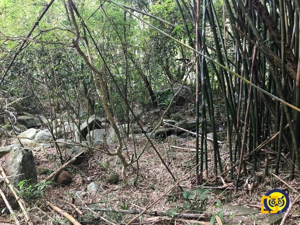 Terreno com 66151m², no bairro Vargem Grande em Florianópolis
