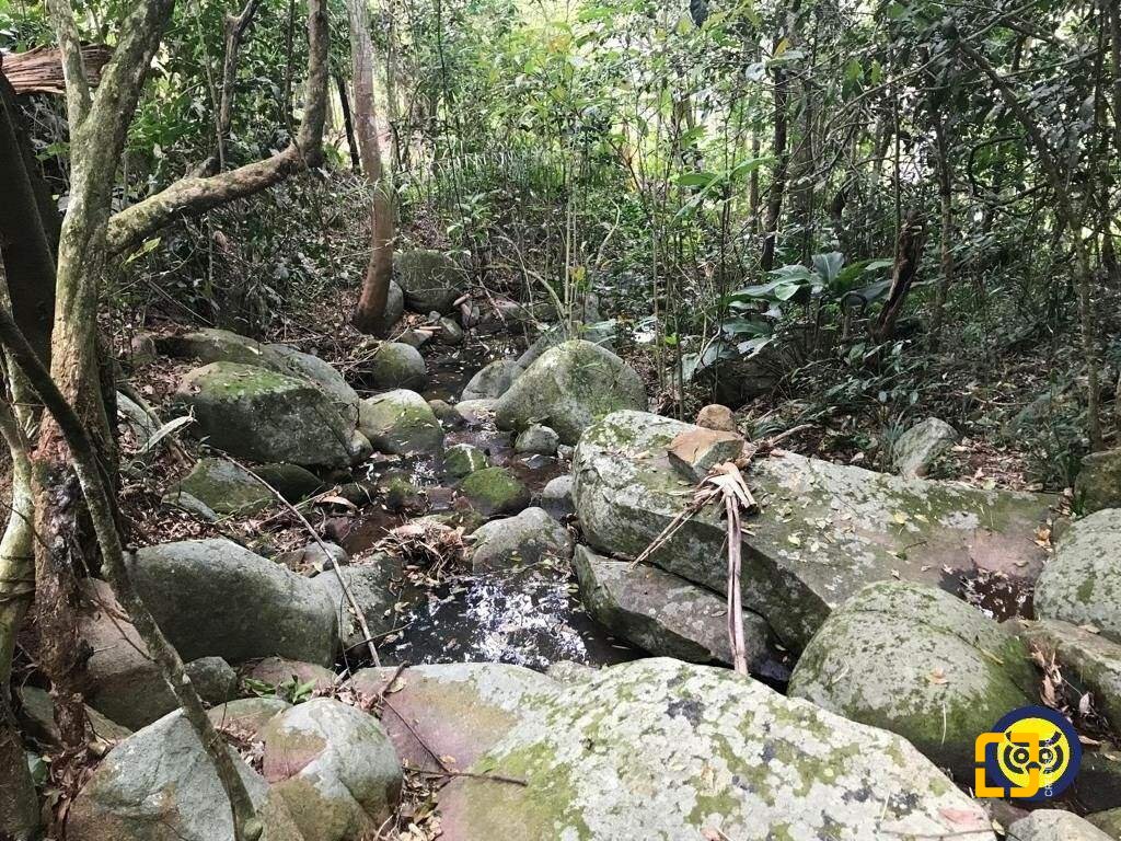 Terreno com 66151m², no bairro Vargem Grande em Florianópolis