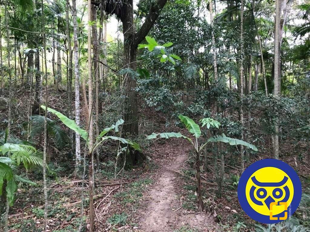 Terreno com 50063m², no bairro Vargem Grande em Florianópolis