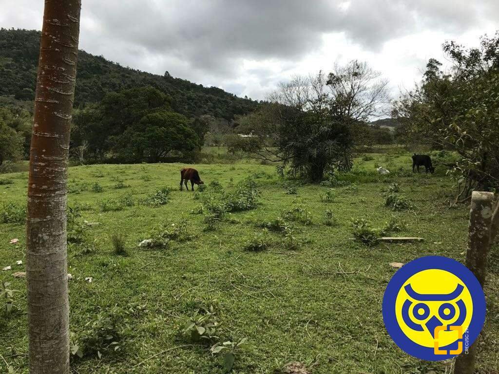 Terreno com 50063m², no bairro Vargem Grande em Florianópolis