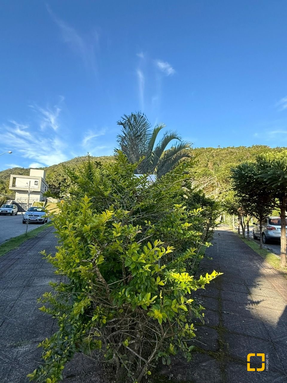 Casa com 291m², 9 quartos (sendo 4 suítes), 2 garagens, no bairro Cachoeira do Bom Jesus em Florianópolis