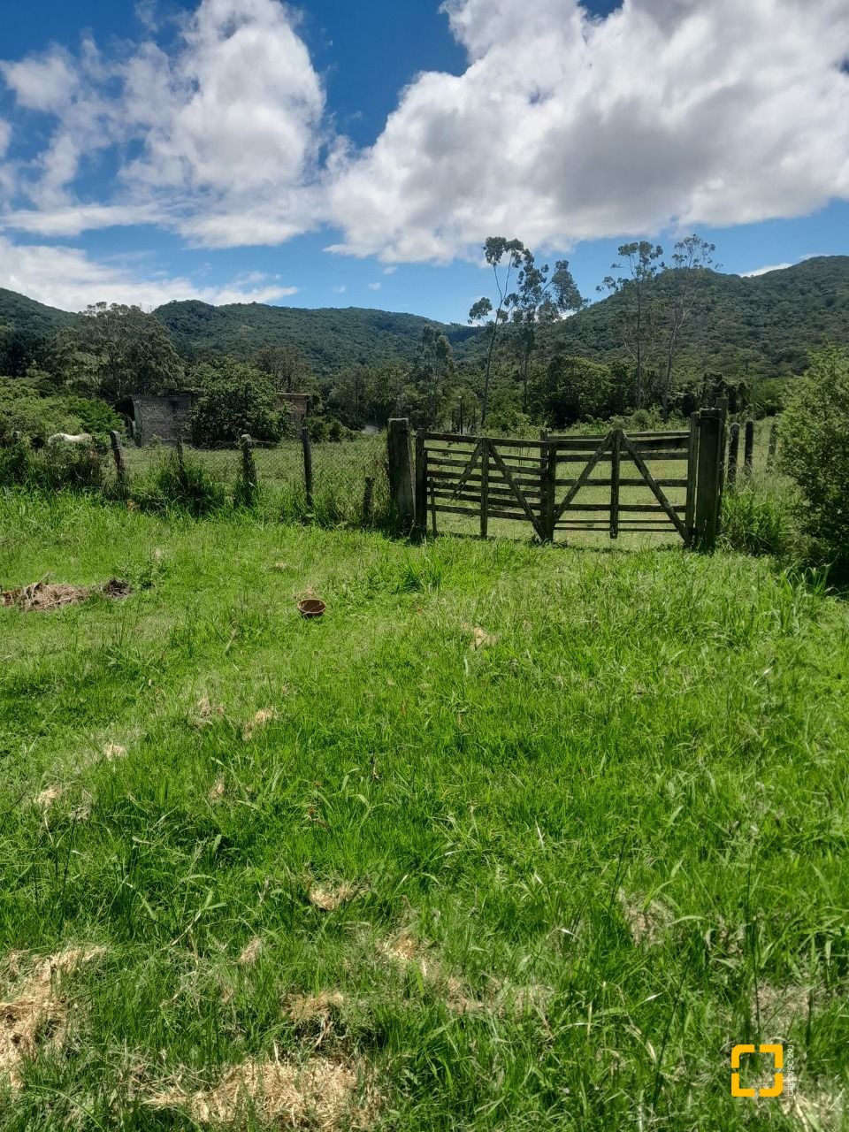 Sítio com 5280m², 4 quartos (sendo 1 suíte), no bairro Ratones em Florianópolis