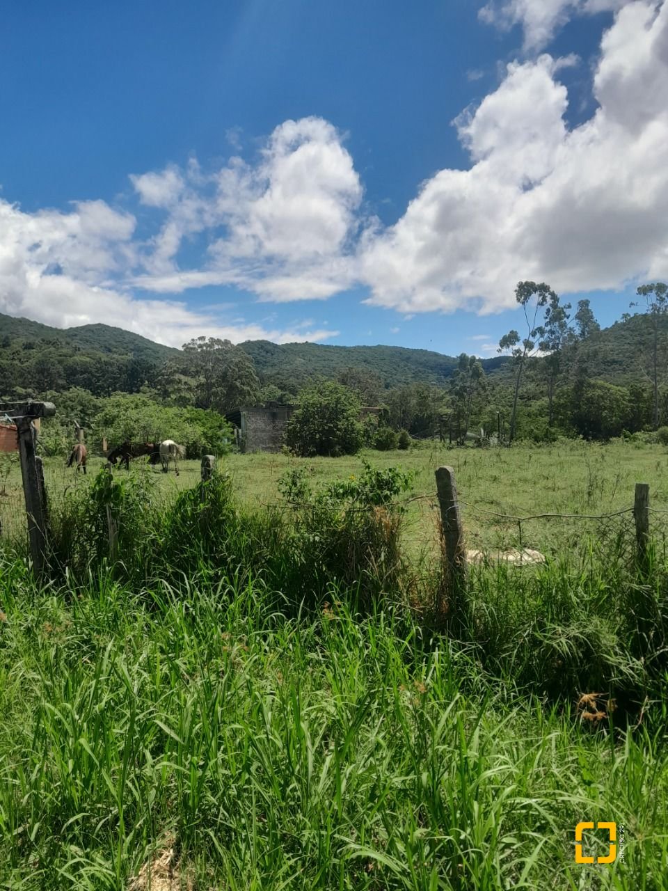Sítio com 5280m², 4 quartos (sendo 1 suíte), no bairro Ratones em Florianópolis