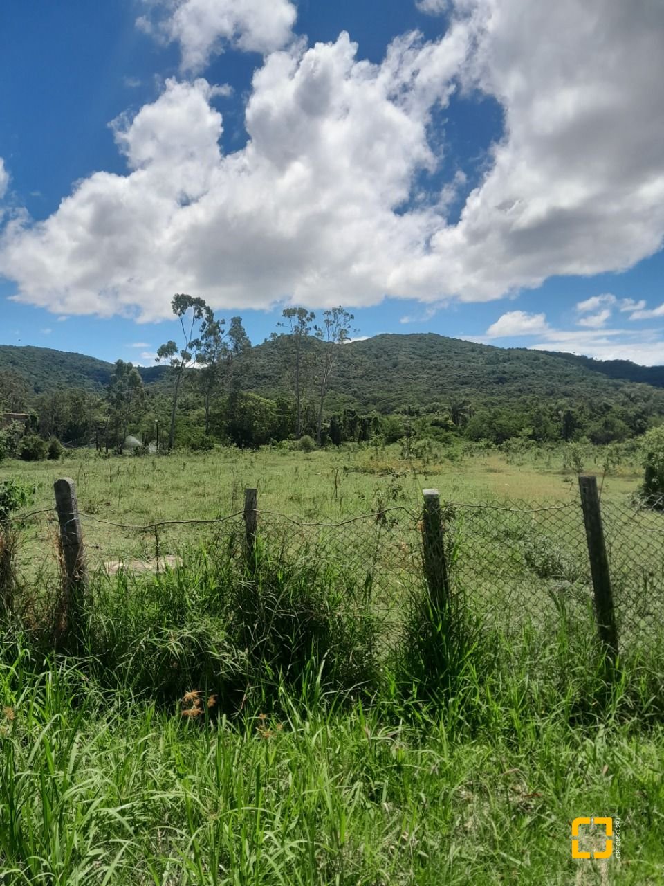 Sítio com 5280m², 4 quartos (sendo 1 suíte), no bairro Ratones em Florianópolis