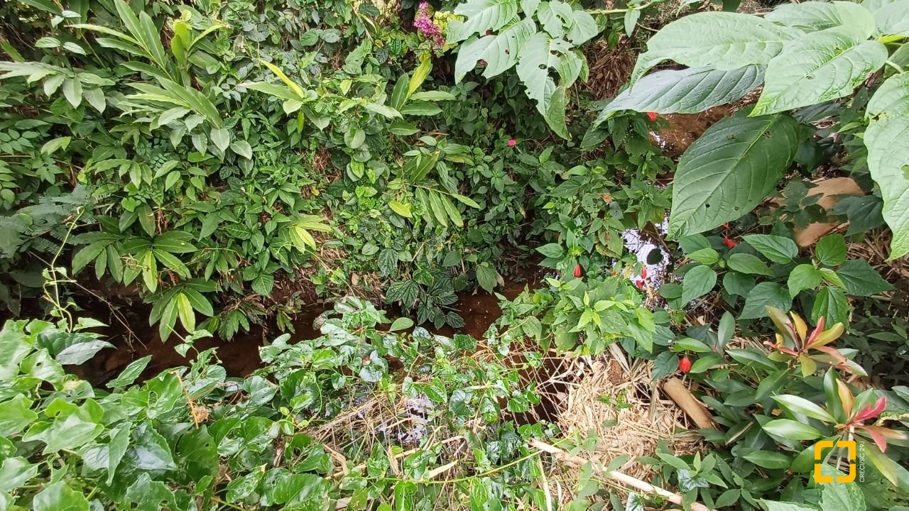 Terreno com 1435m², no bairro Sambaqui em Florianópolis