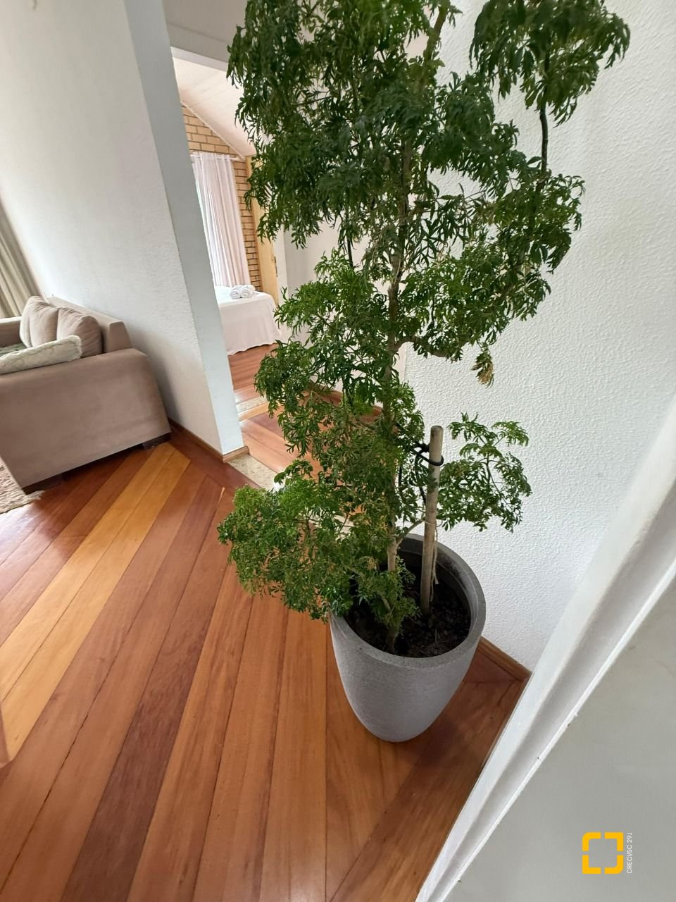 Casa com 502m², 9 quartos (sendo 3 suítes), 4 garagens, no bairro Ingleses em Florianópolis